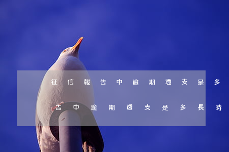 征信報告中逾期透支是多長時間的-征信報告中逾期透支是多長時間的記錄