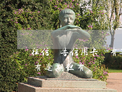 征信報告信用卡沒有逾期(征信報告信用卡沒有逾期但有凍結)