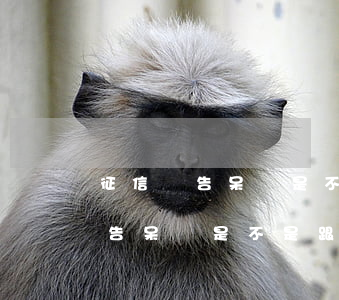 征信報告呆賬是不是跟逾期一起的-征信報告呆賬是不是跟逾期一起的意思
