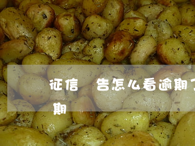 征信報告怎么看逾期了 征信報告如何查看逾期