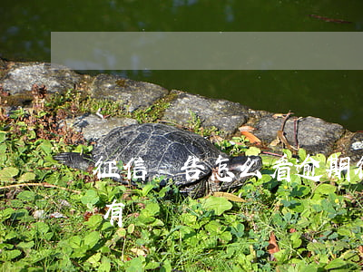 征信報告怎么看逾期(征信報告怎么看逾期沒有)