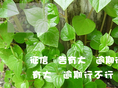 征信報告有大額逾期行不行貸款-征信報告有大額逾期行不行貸款呢