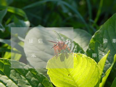 征信報告有愛錢進逾期記錄怎么辦-征信顯示愛錢進有逾期,想還上缺找不到app