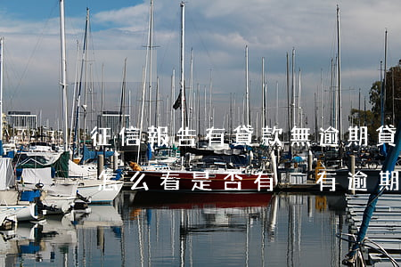 征信報告有貸款無逾期(貸款有逾期征信報告怎么看是否有沒有逾期)
