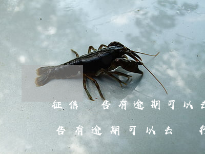 征信報告有逾期可以去銀行入職嗎-征信報告有逾期可以去銀行入職嗎有影響嗎