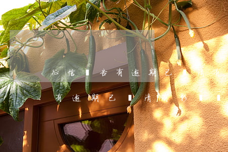 征信報告有逾期已還清有影響嗎-征信報告有逾期已還清有影響嗎怎么辦