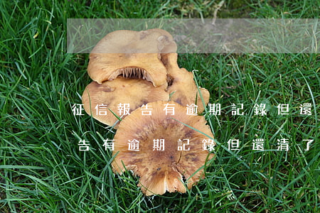 征信報告有逾期記錄但還清了圖片-征信報告有逾期記錄但還清了圖片怎么辦
