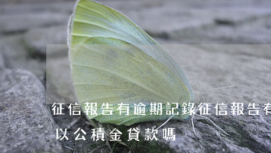 征信報告有逾期記錄(征信報告有逾期記錄可以公積金貸款嗎)