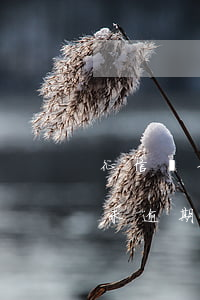 征信報告未逾期記錄可以刪掉嗎-征信報告未逾期記錄可以刪掉嗎怎么查