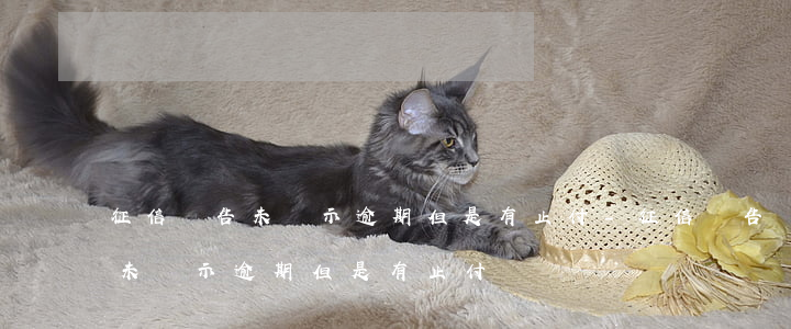 征信報告未顯示逾期但是有止付-征信報告未顯示逾期但是有止付記錄
