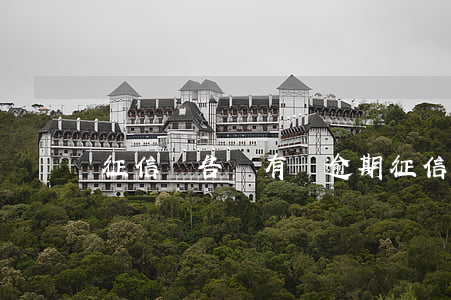 征信報告沒有寫逾期(征信報告沒有寫逾期)