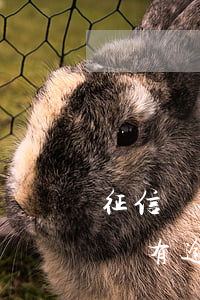 征信報告沒有逾期就是正常的嗎-征信報告沒有逾期就是正常的嗎怎么辦