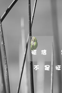 征信報告沒有逾期(征信報告沒有逾期記錄是不是征信好)