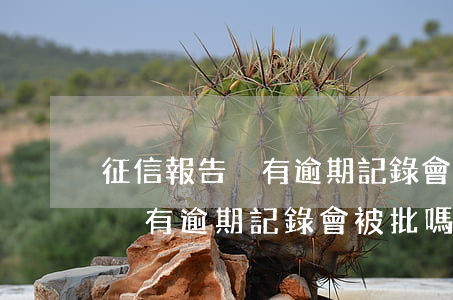 征信報告沒有逾期記錄會被批嗎-征信報告沒有逾期記錄會被批嗎怎么辦