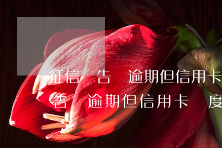 征信報告沒逾期但信用卡額度為零-征信報告沒逾期但信用卡額度為零怎么回事