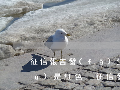 征信報告發(fā)生過逾期賬戶數(shù)是紅色-征信發(fā)生過逾期的賬戶數(shù)怎么是紅色