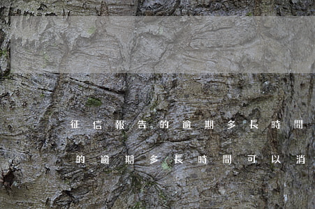 征信報告的逾期多長時間可以消-征信報告的逾期多長時間可以消除