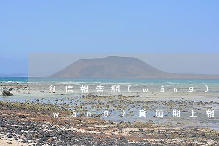 征信報告網(wǎng)貸逾期怎么辦(網(wǎng)貸逾期上報征信會怎么樣)