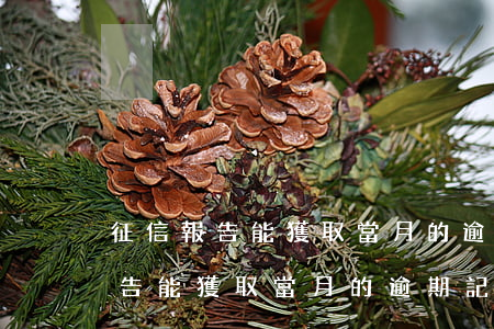 征信報告能獲取當月的逾期記錄嗎-征信報告能獲取當月的逾期記錄嗎安全嗎