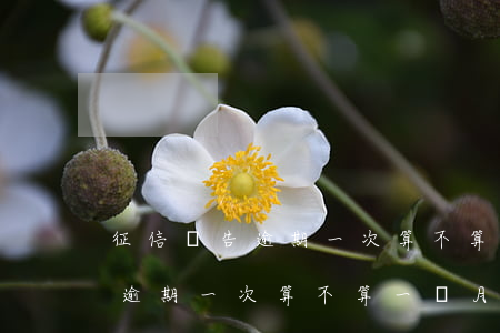 征信報告逾期一次算不算一個月-征信報告逾期一次算不算一個月的
