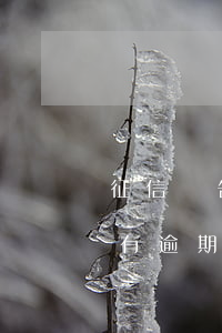 征信報告逾期五年沒還 5年后征信報告上還有逾期記錄