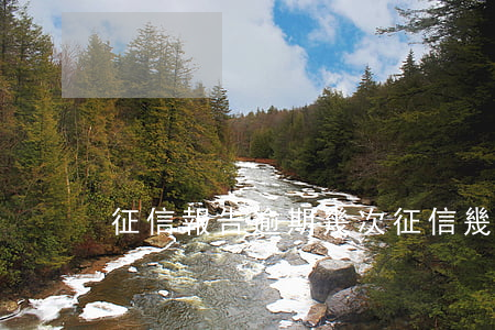 征信報告逾期幾次（征信幾次逾期會被查）