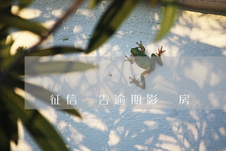 征信報告逾期影響房貸嗎(征信有逾期影響房貸嗎)