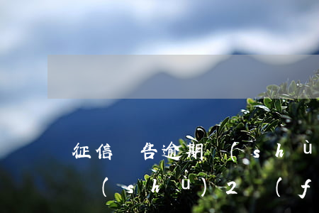 征信報告逾期數(shù)3(征信報告逾期數(shù)2發(fā)生逾期賬戶數(shù),查詢記錄40條)