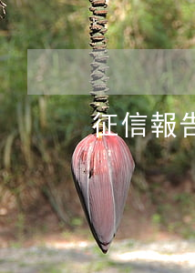 征信報告逾期有個1是什么意思-