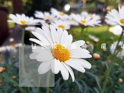 征信報告逾期沒還五年后就好了嗎