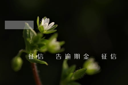 征信報告逾期金額（征信報告信用卡逾期為1）