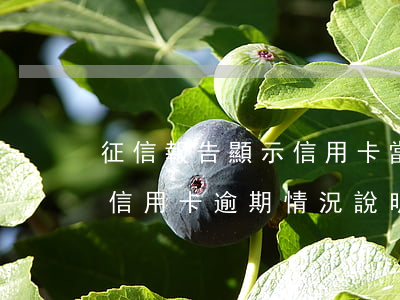 征信報告顯示信用卡當(dāng)前逾期(信用卡逾期情況說明)