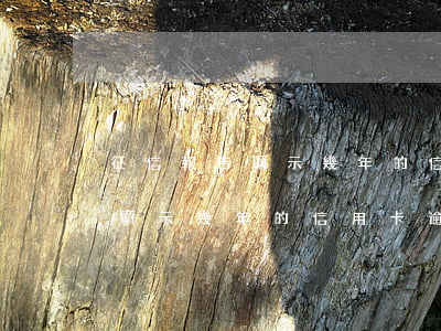 征信報告顯示幾年的信用卡逾期-征信報告顯示幾年的信用卡逾期怎么辦