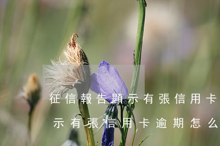 征信報告顯示有張信用卡逾期-征信報告顯示有張信用卡逾期怎么辦