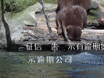征信報告顯示有逾期影響貸款嗎（征信報告顯示逾期公司）