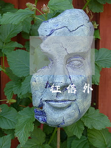 征信外貸款逾期怎么查(征信報告哪里看逾期)