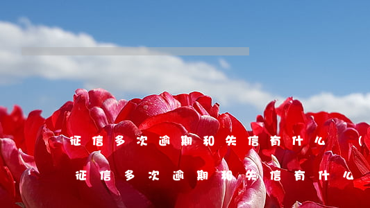 征信多次逾期和失信有什么區(qū)別-征信多次逾期和失信有什么區(qū)別嗎