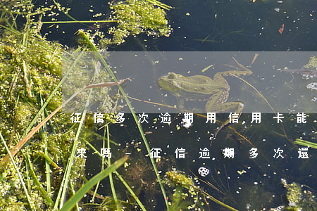 征信多次逾期用信用卡能養(yǎng)過來嗎-征信逾期多次還能貸款嗎
