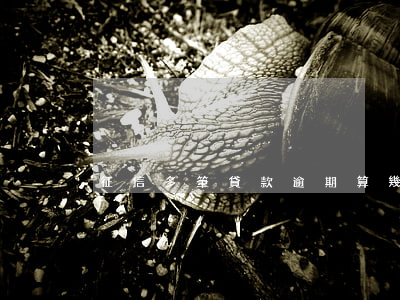 征信多筆貸款逾期算幾次