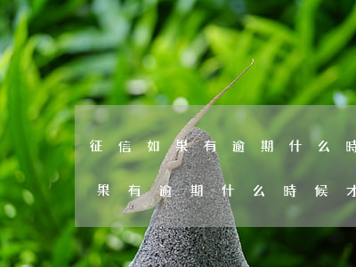 征信如果有逾期什么時候才能恢復-征信如果有逾期什么時候才能恢復正常 征信如果有逾期什么時候才能恢復-征信如果有逾期什么時候才能恢復正常
