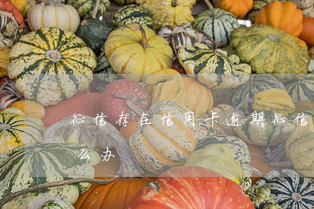 征信存在信用卡逾期(征信存在信用卡逾期怎么办)