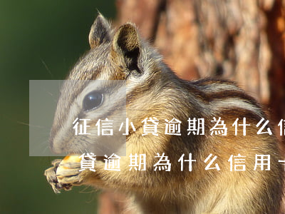 征信小貸逾期為什么信用卡還能用-征信小貸逾期為什么信用卡還能用呢