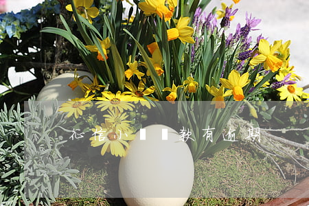 征信小額貸款有逾期