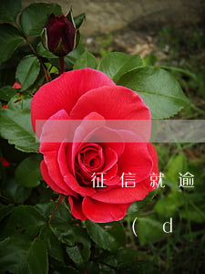 征信就逾期申請(qǐng)信用卡嗎(征信當(dāng)前有逾期申請(qǐng)信用卡會(huì)被拒絕嗎)