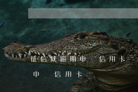 征信就逾期申請信用卡嗎(個人征信有過逾期申請信用卡)