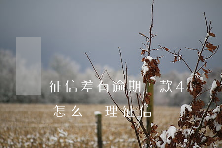 征信差有逾期貸款4萬(貸款差幾塊錢逾期了怎么處理征信)