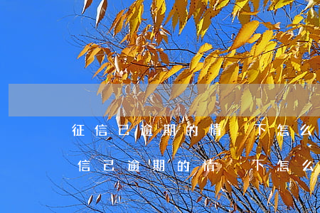 征信己逾期的情況下怎么協(xié)商 征信己逾期的情況下怎么協(xié)商
