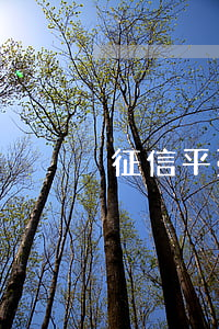 征信平臺信用卡逾期(征信逾期 信用卡)