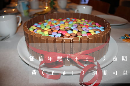 征信年費(fèi)逾期可以貸款嗎(征信年費(fèi)逾期可以貸款嗎)