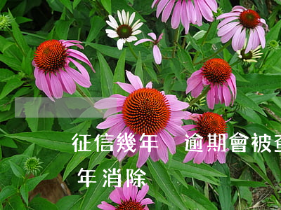 征信幾年沒逾期會被查(征信記錄沒有逾期幾年消除)